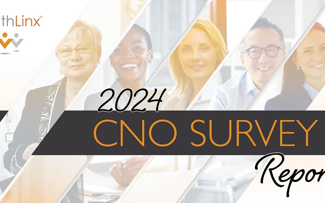 2024 Chief Nursing Officer (CNO) Survey Results Report