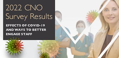 2022 Chief Nursing Officer Survey Report