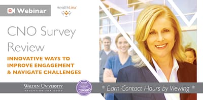 2023 Chief Nursing Officer Survey Report