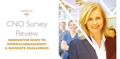 2023 Chief Nursing Officer (CNO) Survey Report