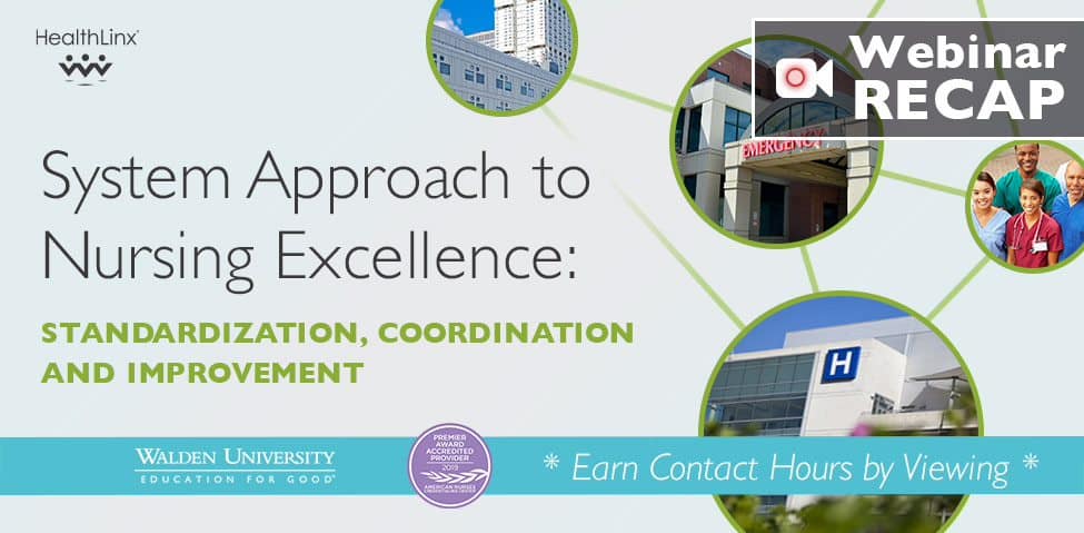 System Approach to Nursing Excellence